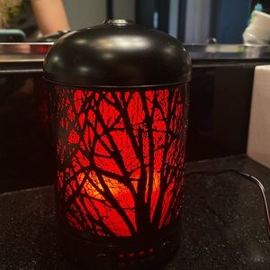 Oil Diffuser with changing lights